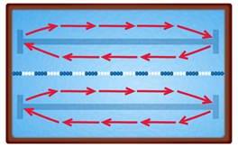 Circle Swimming Diagram